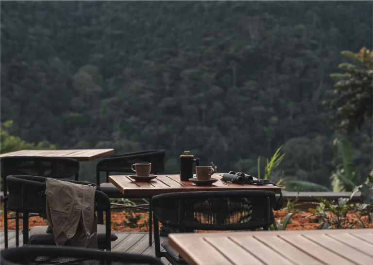 Luxury Meets Wilderness: Uganda’s New Safari Trend